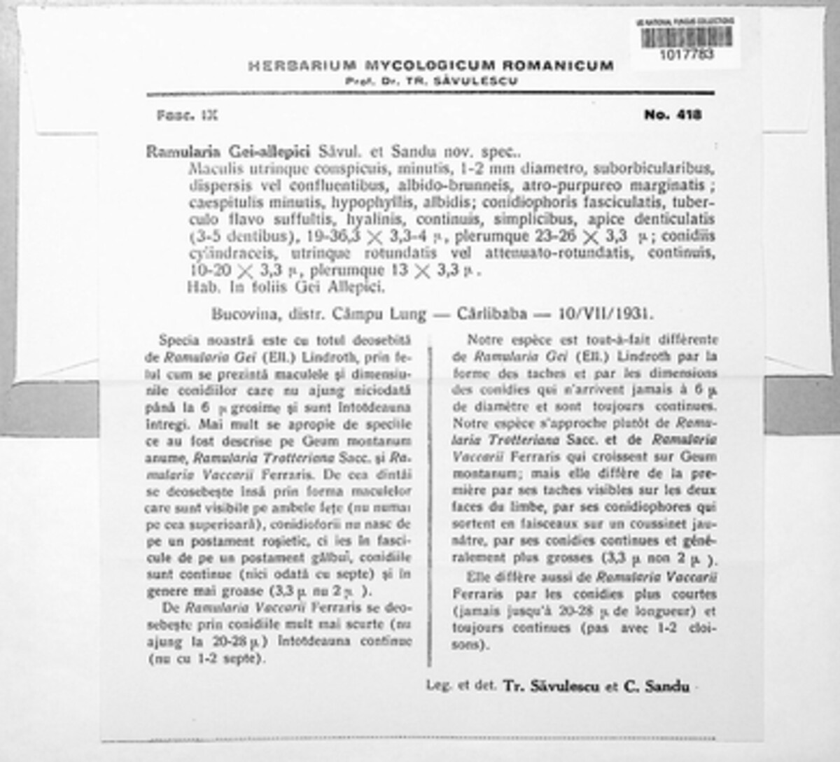Ramularia gei-allepici image